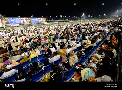 meydan horse racing results|HORSE RACING .